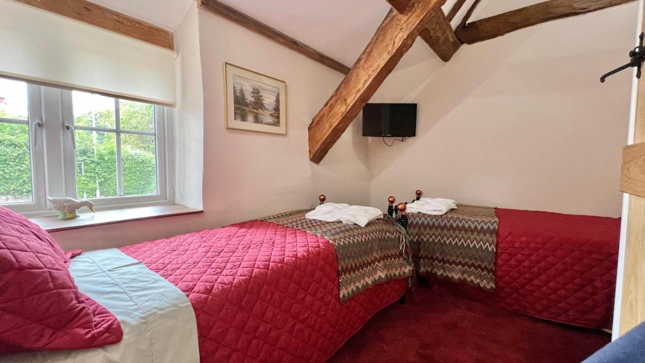 Cosy Cottage Wellington  Bagian luar foto
